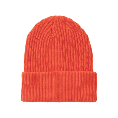 Pchexo hue - Tangerine tango