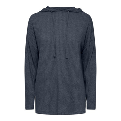Pcmolly hoodie - Ombre blue