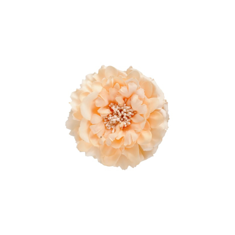 Bcjulita brooch - Nude