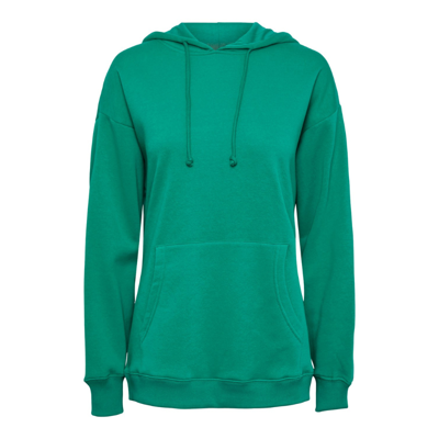 Pcchilli hoodie - Parakeet